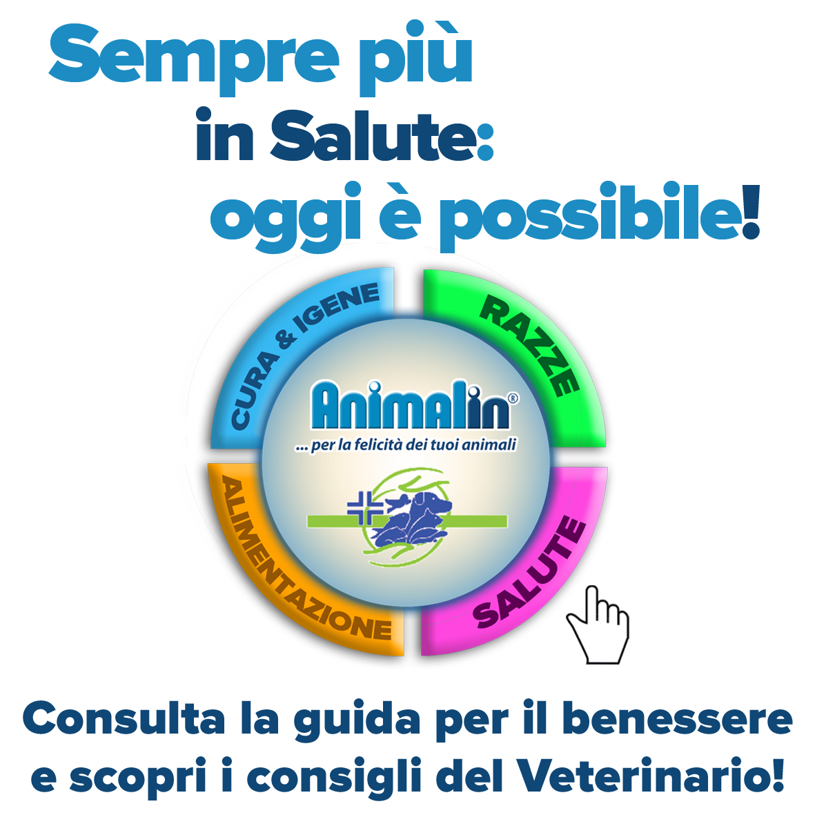 I Consigli del Veterinario